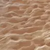 Wet Sand (5833) - Image 2