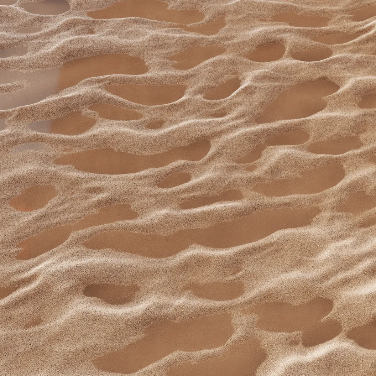 Wet Sand PBR Texture