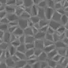 Stylized Grey Rock (5873) - Image 12