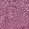 Purple Alien Brain (5905) - Image 2