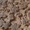Rough Rock with Sand Rock (5901) - Image 2