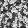 Rough Rock with Sand Rock (5901) - Image 7