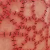 Stampled Human Skin (5902) - Image 2