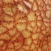 Stampled Zombie Skin (5903) - Image 2