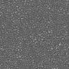Stylized Black Gravel (5919) - Image 6